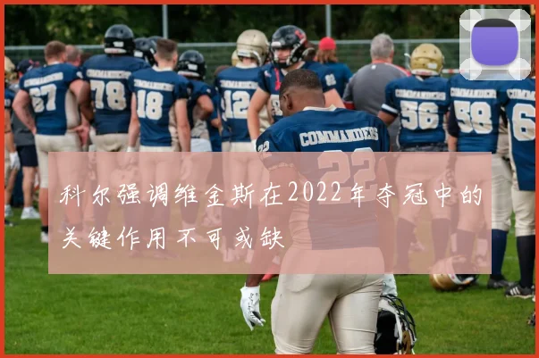 科尔强调维金斯在2022年夺冠中的关键作用不可或缺