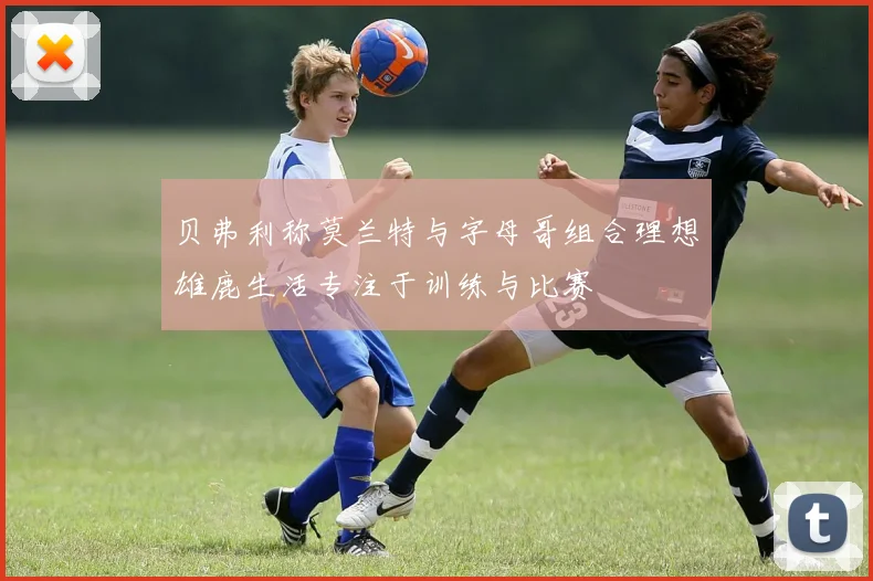 贝弗利称莫兰特与字母哥组合理想雄鹿生活专注于训练与比赛