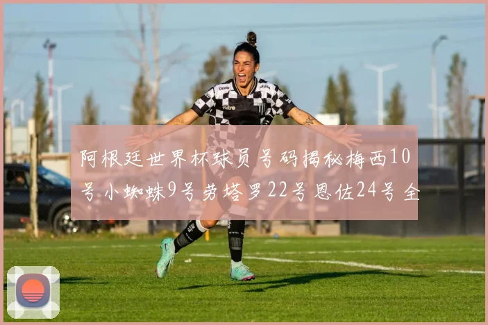 阿根廷世界杯球员号码揭秘梅西10号小蜘蛛9号劳塔罗22号恩佐24号全解析
